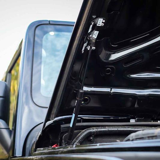 Thar Bonnet Shockers