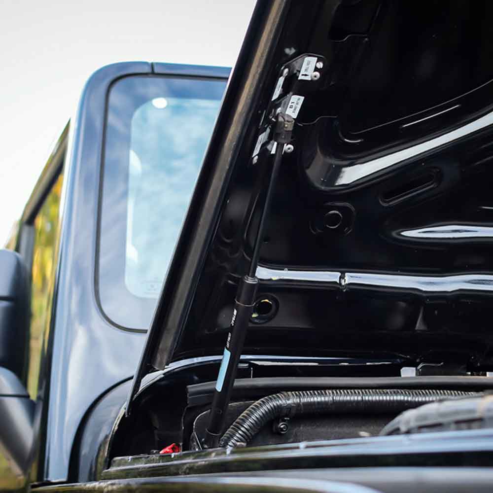 Thar Bonnet Shockers