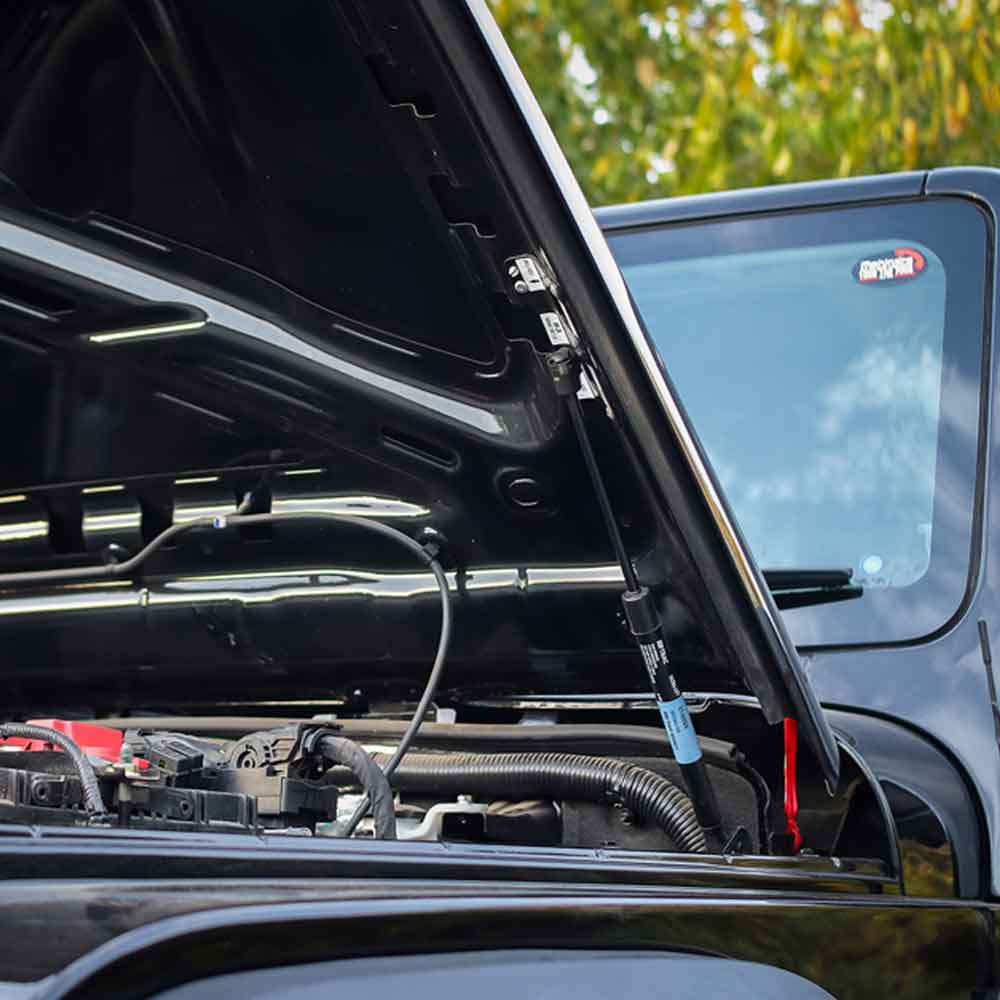 Thar Bonnet Shockers