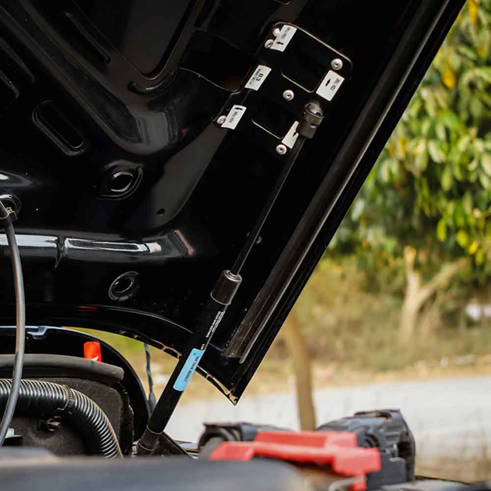 Thar Bonnet Shockers